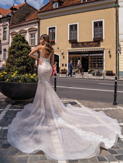 https://elisebride.ro/images/stories/virtuemart/product/7 Delia       (3).jpg